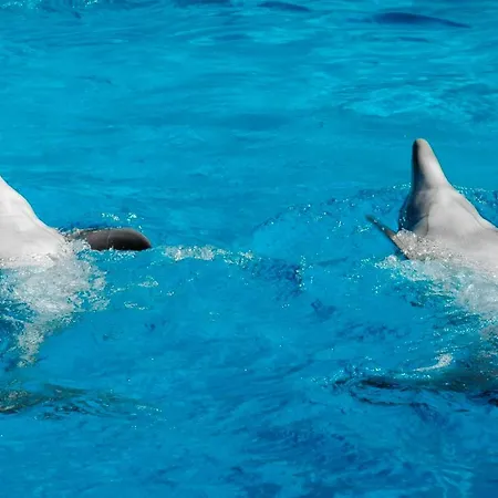 아파트 Herdade Dos Salgados By Intiholidays *