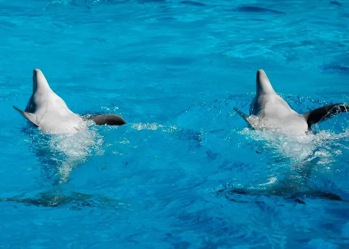 Apartman Herdade Dos Salgados By Intiholidays *